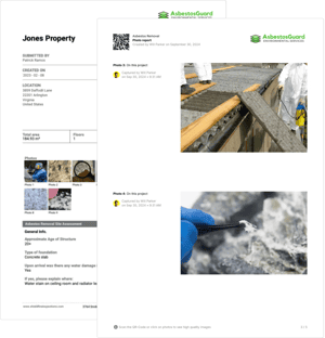 Asbestos removal inspection pdf report assessment preview with photos