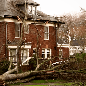 American House after a Catastrophe Disaster Storm with a tree on the ground, damaged room and under Restoration work