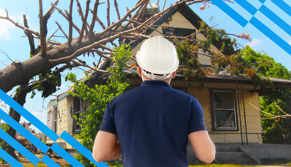 Surviving the Renovation Disaster: A Homeowner's Guide to Handling Bad Contractors - Quality Check: Assessing the Contractor's Work
