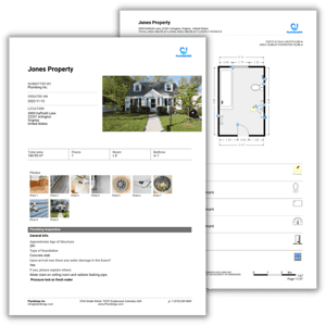 Water Leak Detection Plumbing Job Report Pdf Template Preview