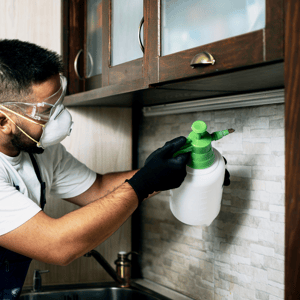 Pest Control-3