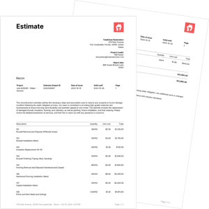 Reconstruction_estimate_pdf_preview