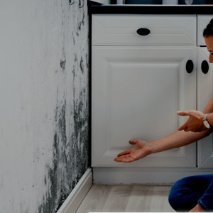 Restoration contractor showing the mold on the wall caused by water damage in kitchen with white cabinets