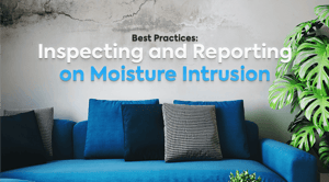 living room with blue sofa and mold on walls with the title Inspecting a Reporting on Moisture intrusion